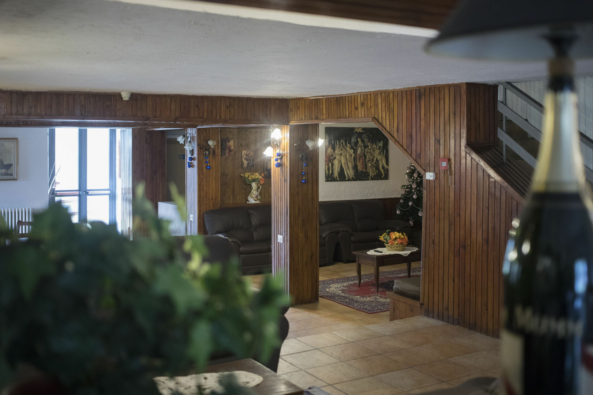 Hotel Pinguino بيسكاسيرولي المظهر الخارجي الصورة